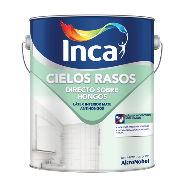 Imagen de IA Cielo Raso Directo s/Hongos 20L