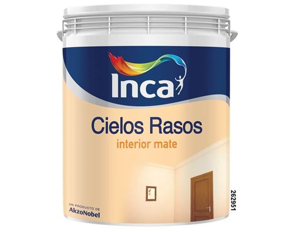 Imagen de IA Cielo Raso Inca 20L